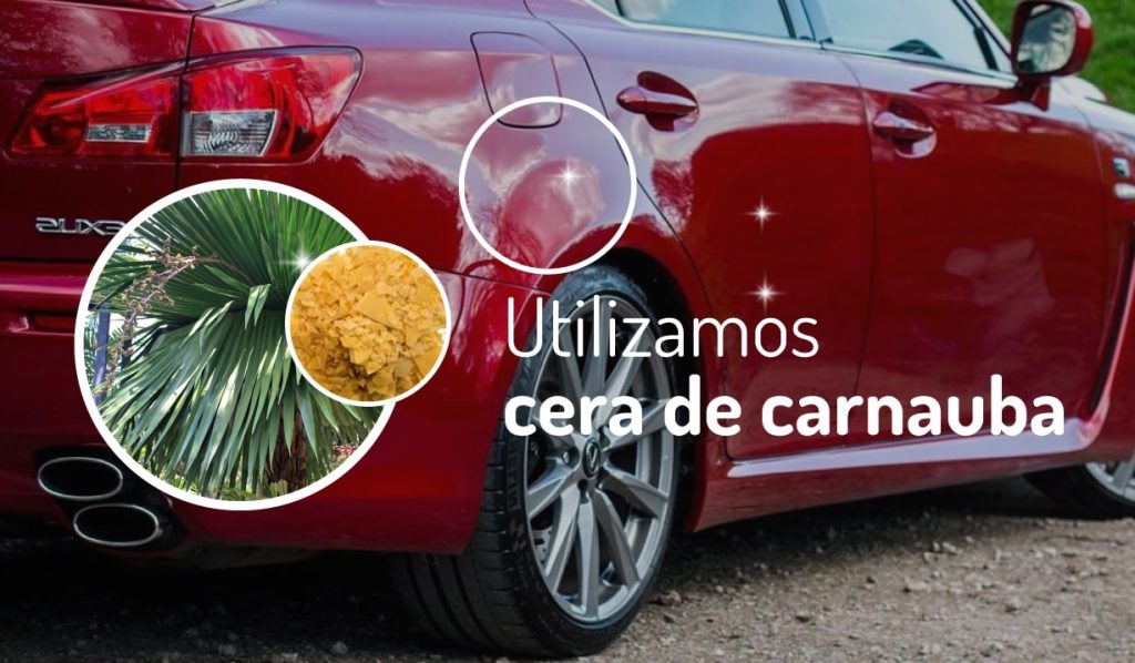 Protege la pintura de tu auto con cera de Carnaúba